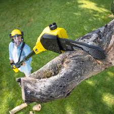 Best Tree Preservation Services  in Wickerham Manor Fisher, PA